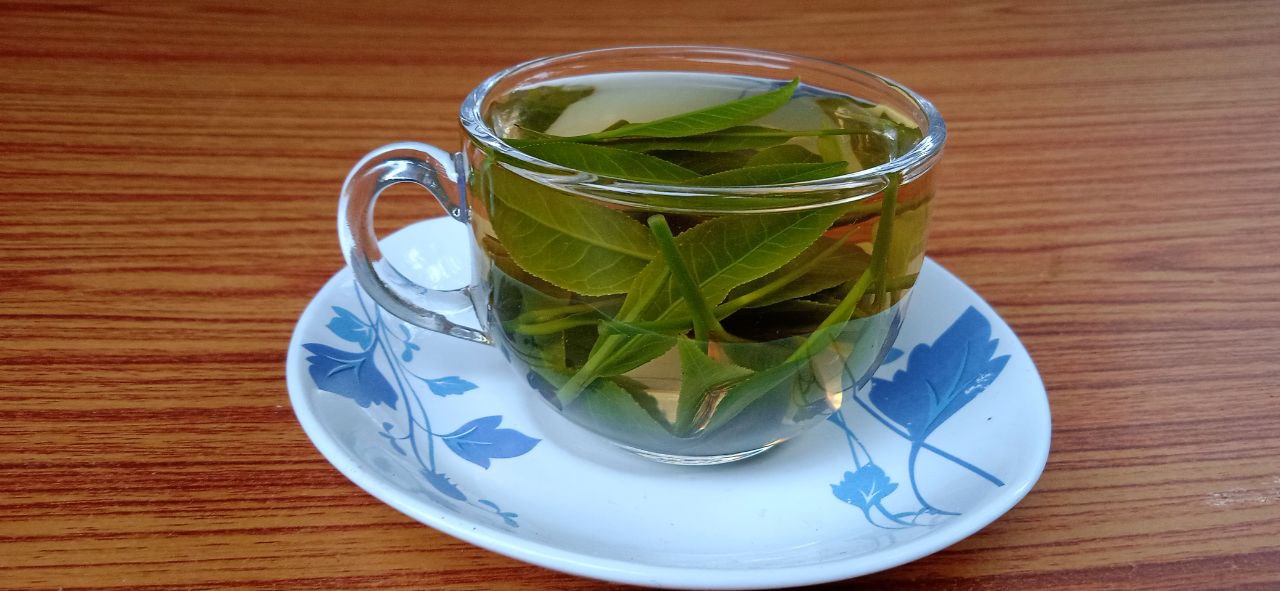 A cup of green tea with visible tea leaves inside