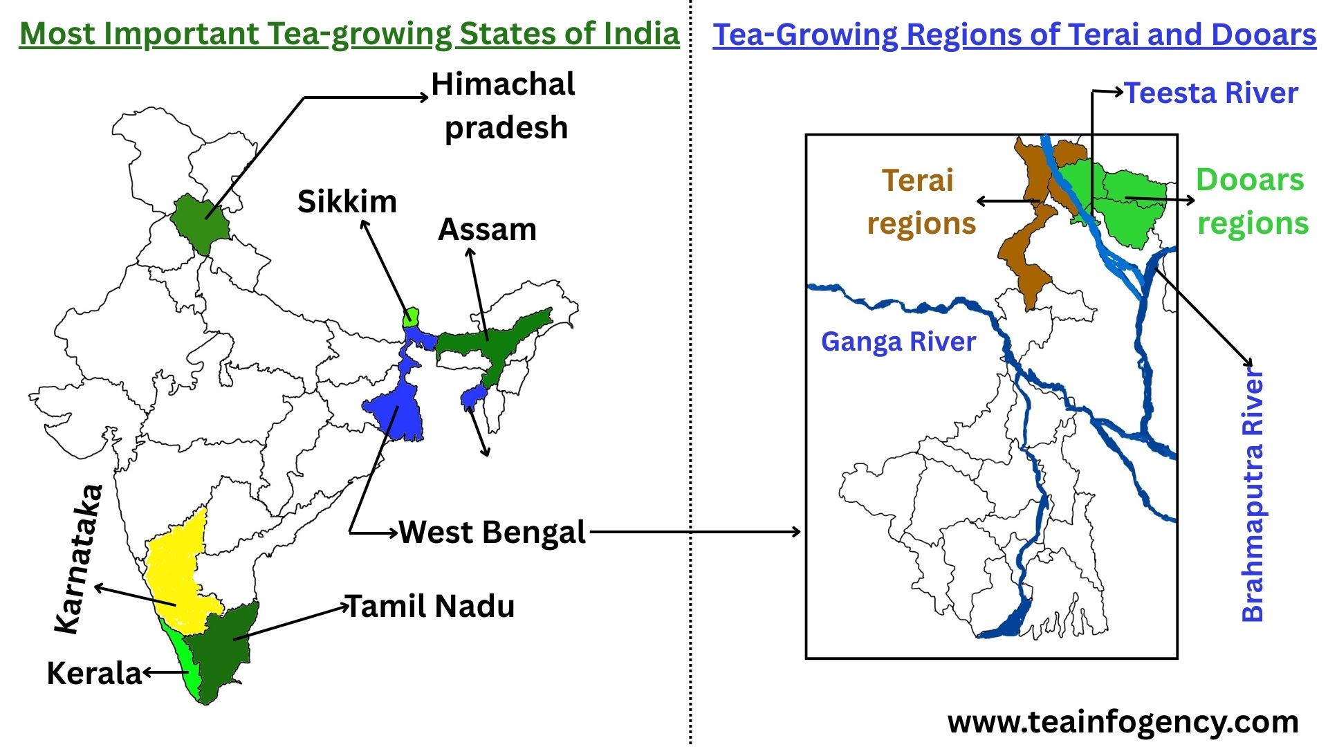 Terai and Dooars tea-growing regions in West Bengal, near Bhutan and Assam, with tea garden markers and key geographic features.